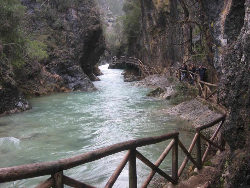 Alojamientos Bellavista Coto Rios Bilik gambar